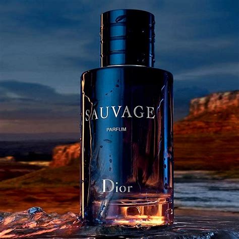 dupe von dior sauvage|Dior Sauvage alternative.